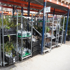 Jardinerie Willemse: Logistiek in volle bloei