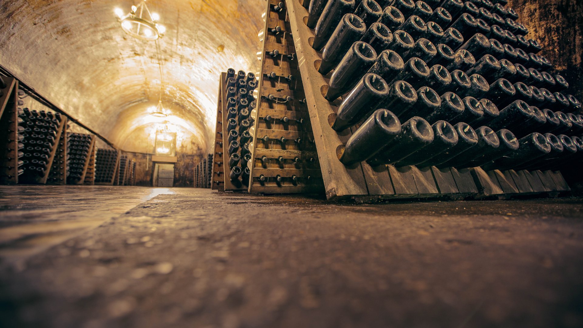 Région de Champagne : des gobos dans les caves d’un producteur de Champagne